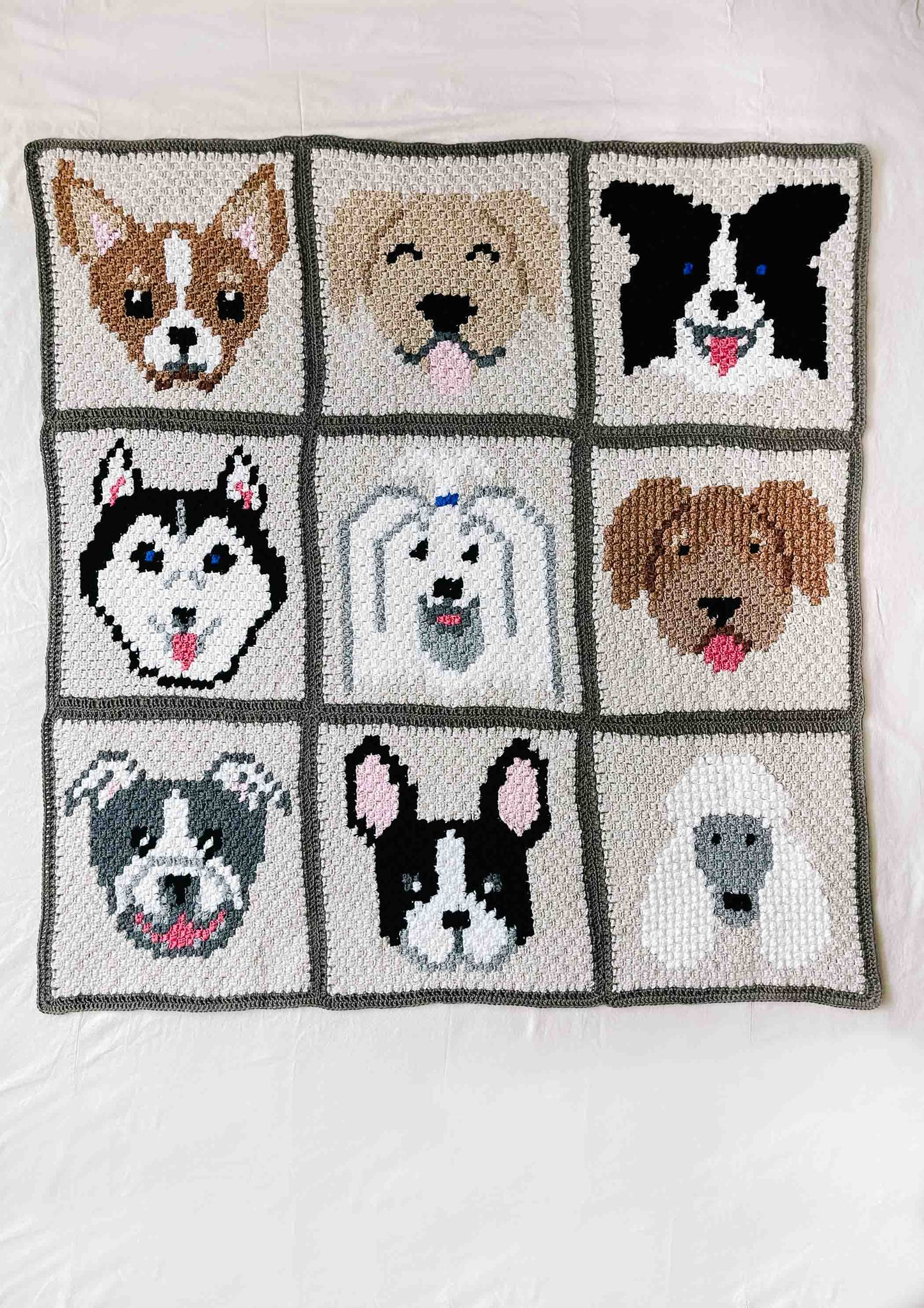 Crochet Kit - Best in Show C2C Blanket