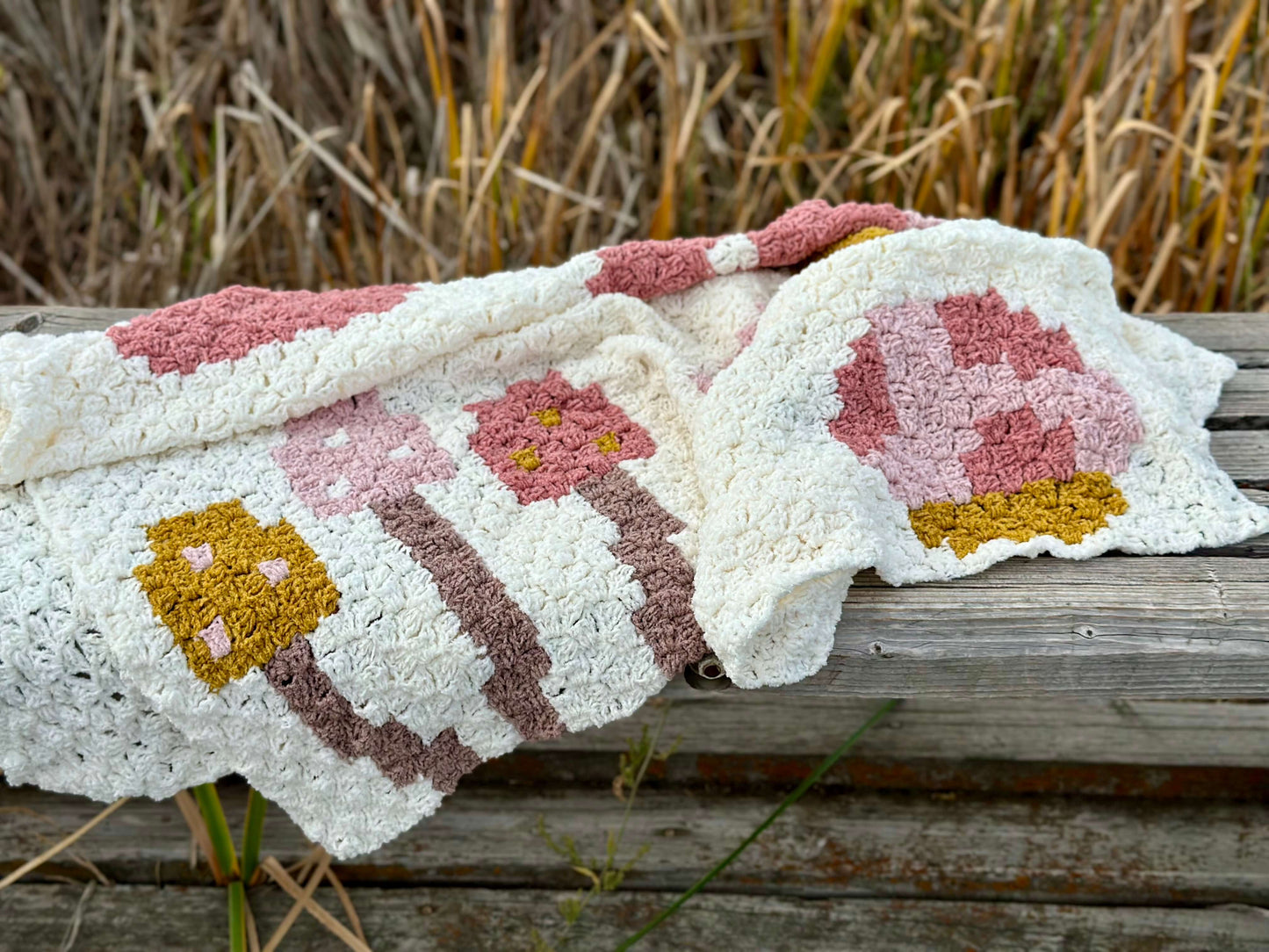 Crochet Kit - Mushroom Medley Throw