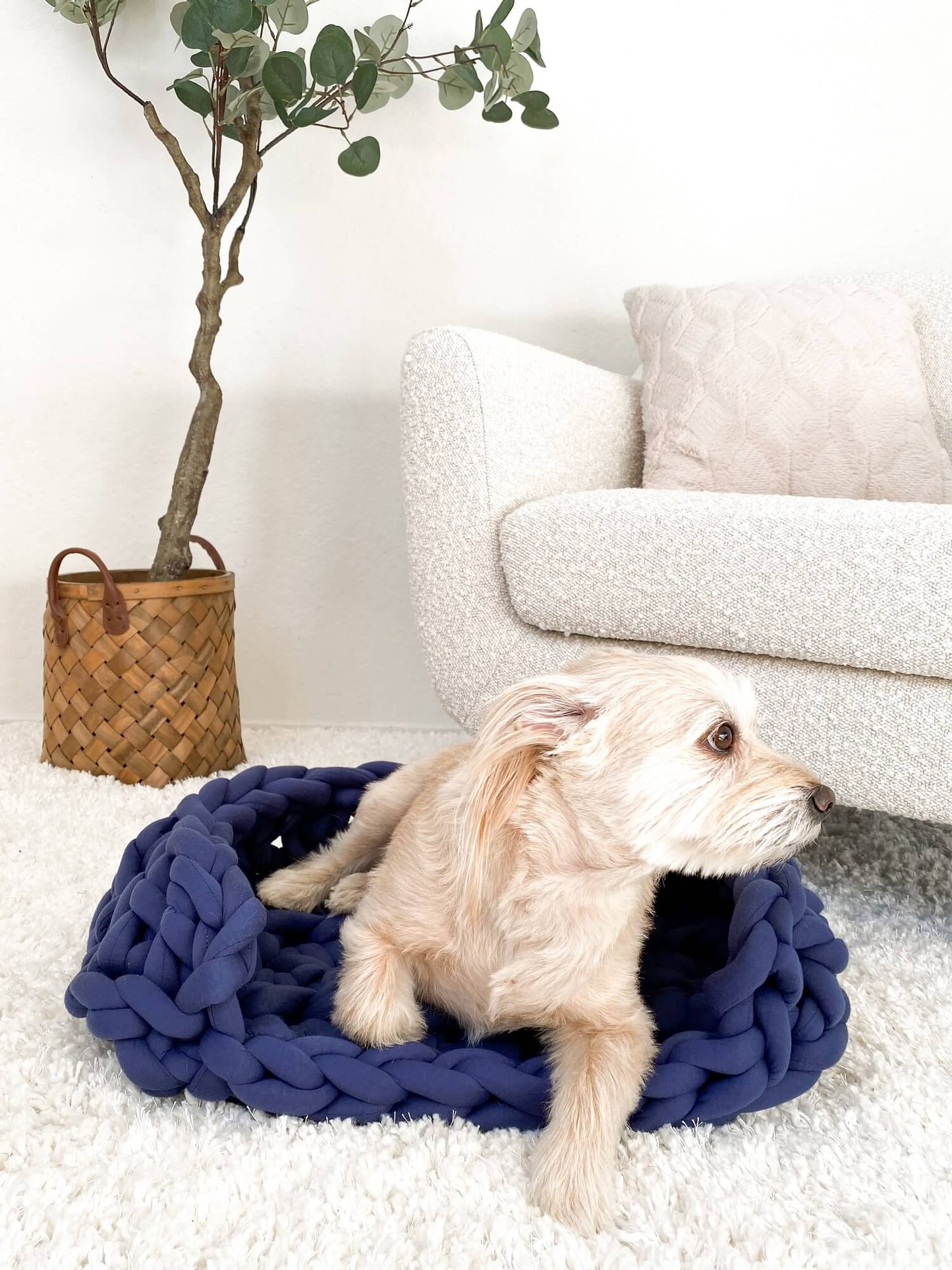 Crochet Kit - Furever Cozy Pet Bed