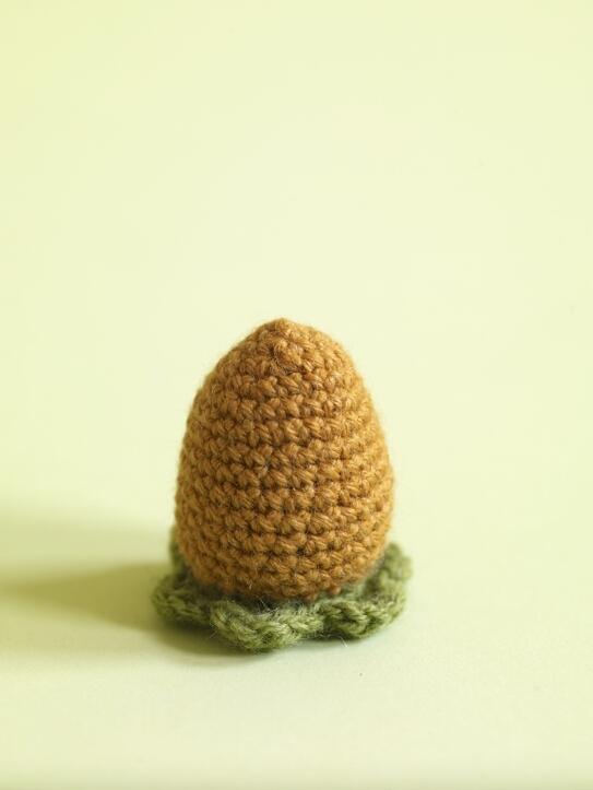 Amigurumi Carrot Egg Cozy Pattern (Crochet)