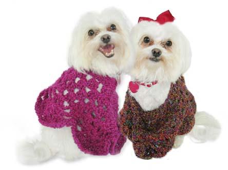 Martha Stewart Coming Home Pooch Poncho Pattern (Knit)