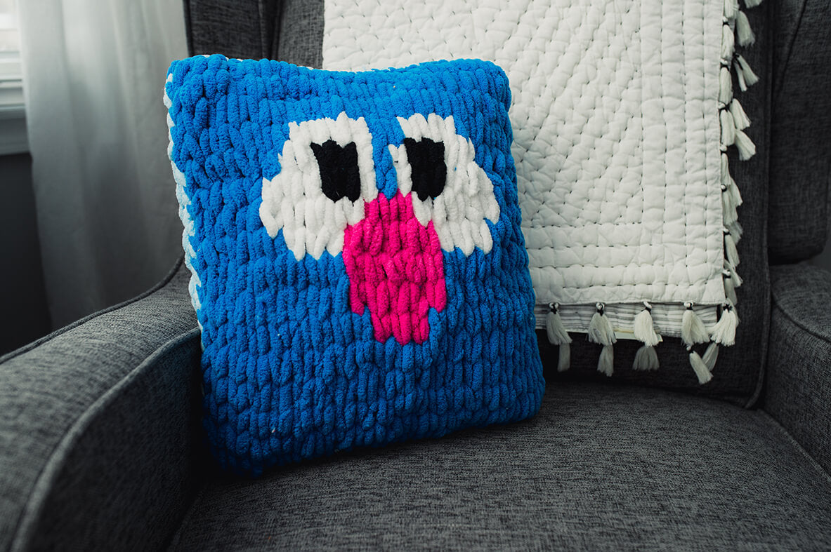 Grover Eyes Pillow (Crafts)