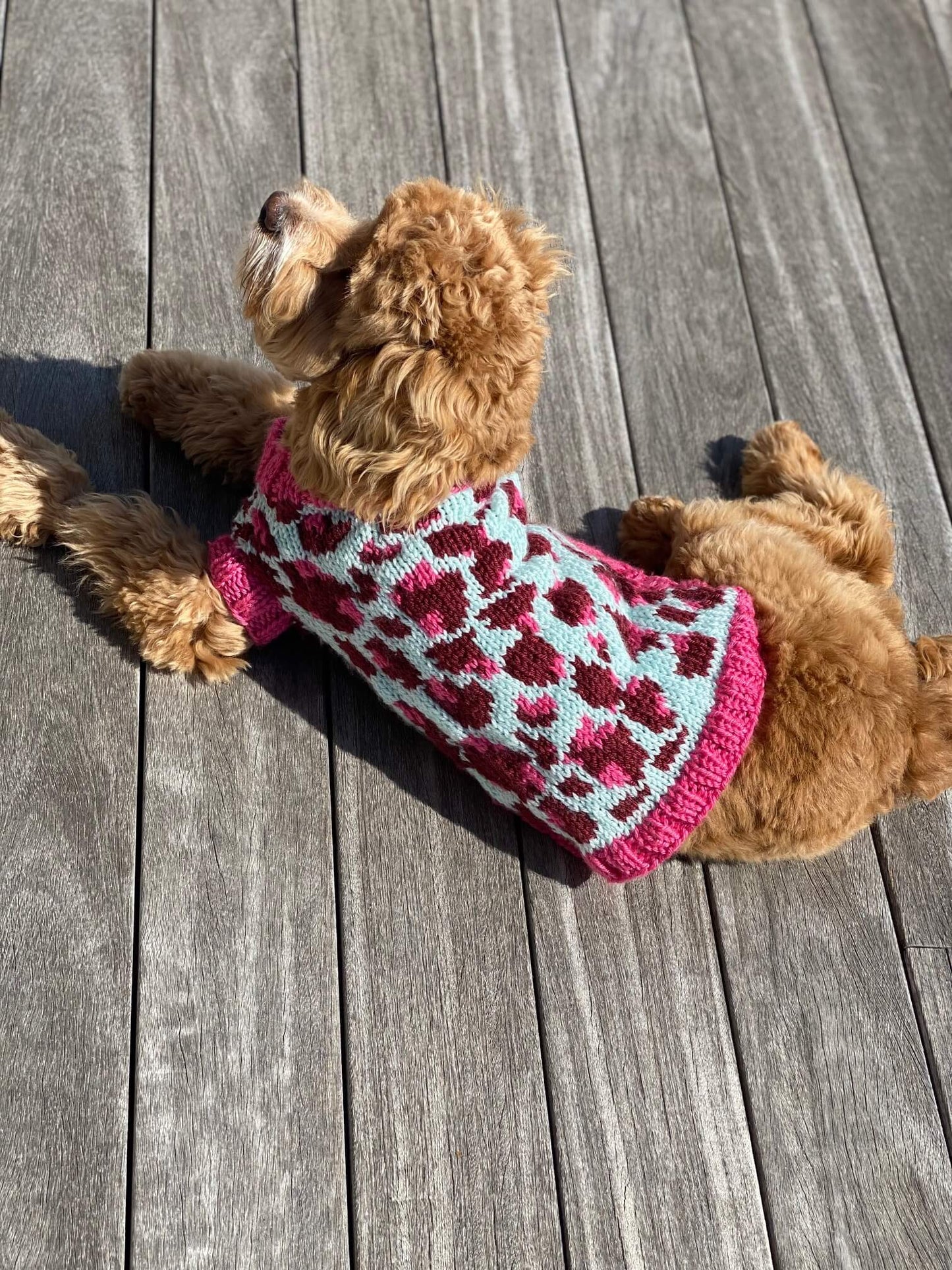 Vibrant Leopard Dog Sweater (Knit)