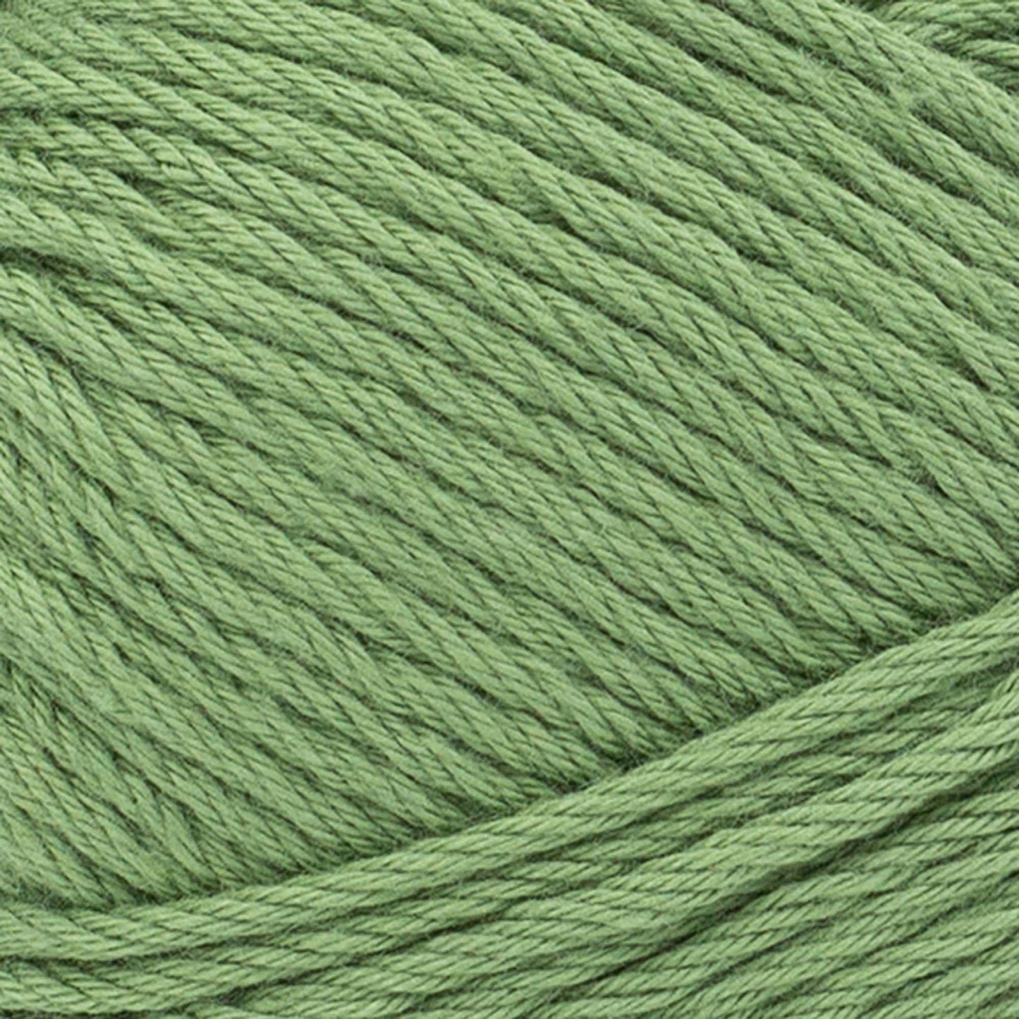 swatch__Grass Green