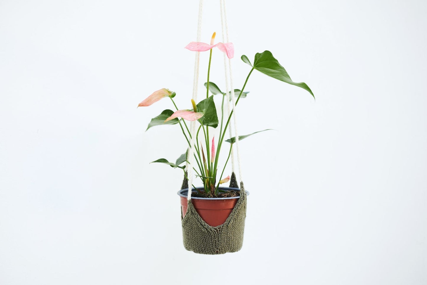 Perennial Plant Hanger (Knit)