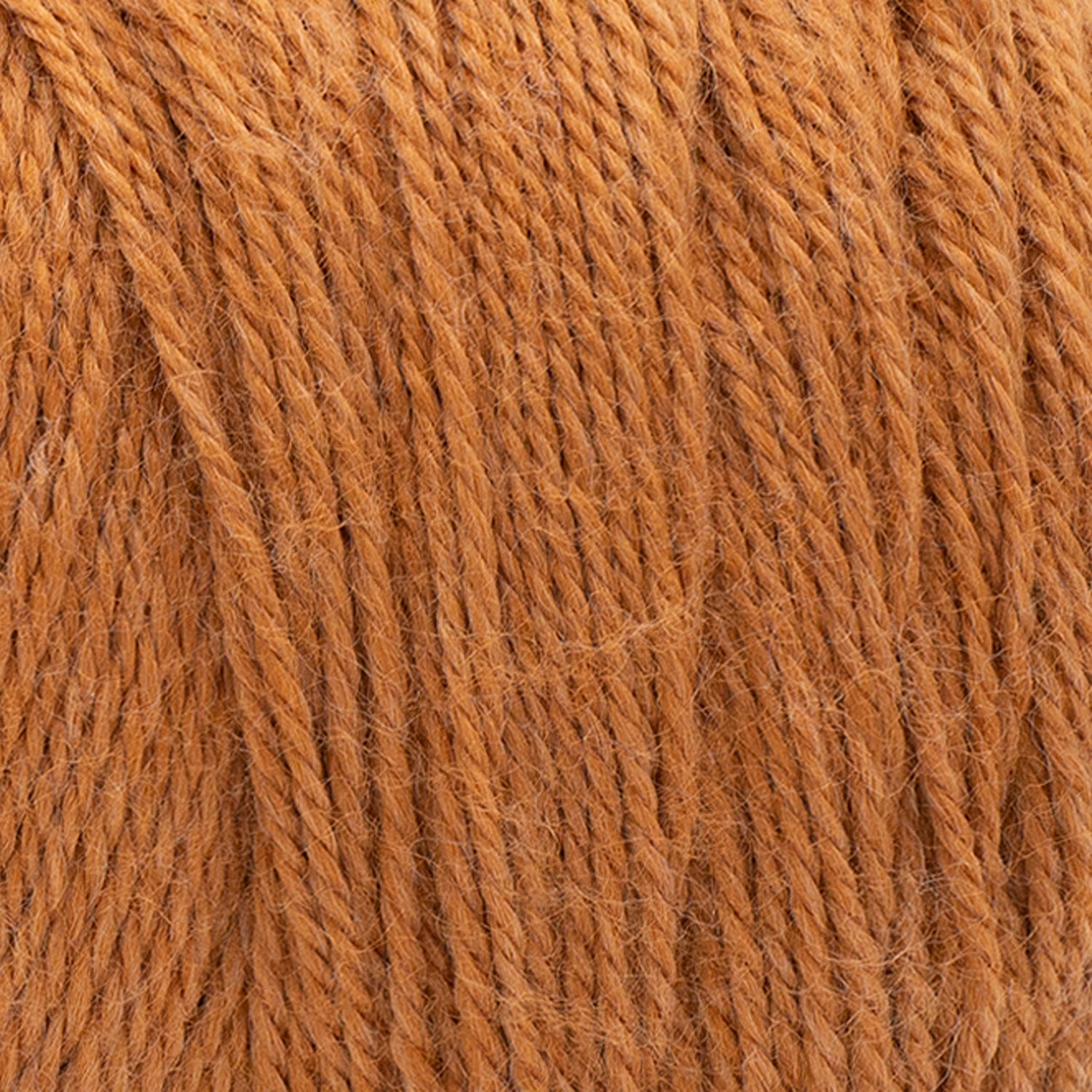 swatch__Pheasant