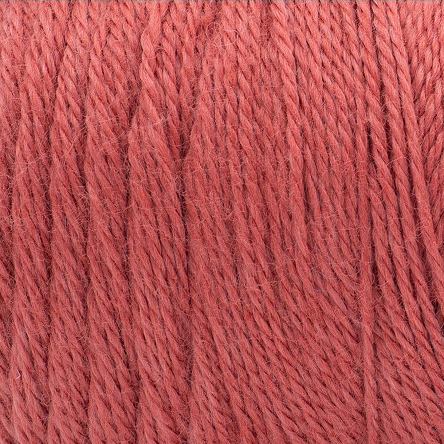 swatch__Cranberry
