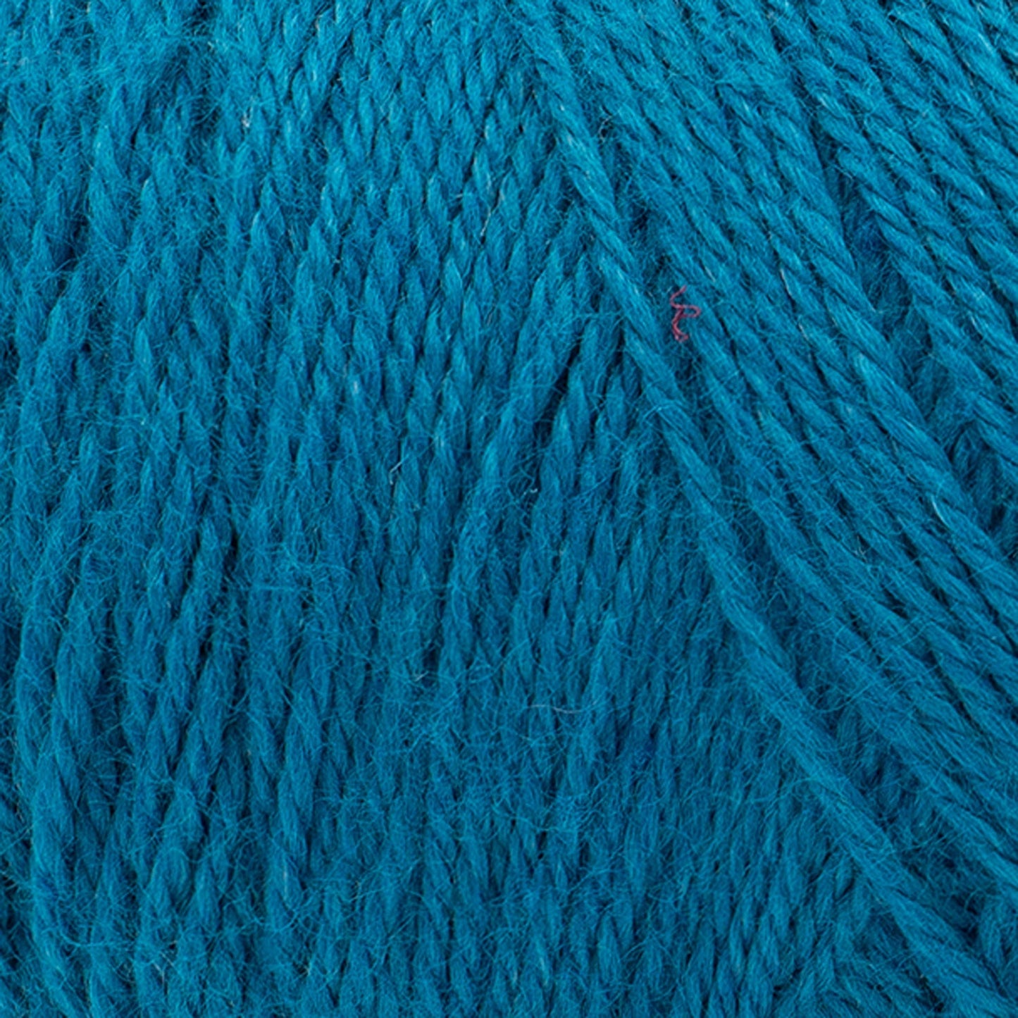 swatch__Fjord