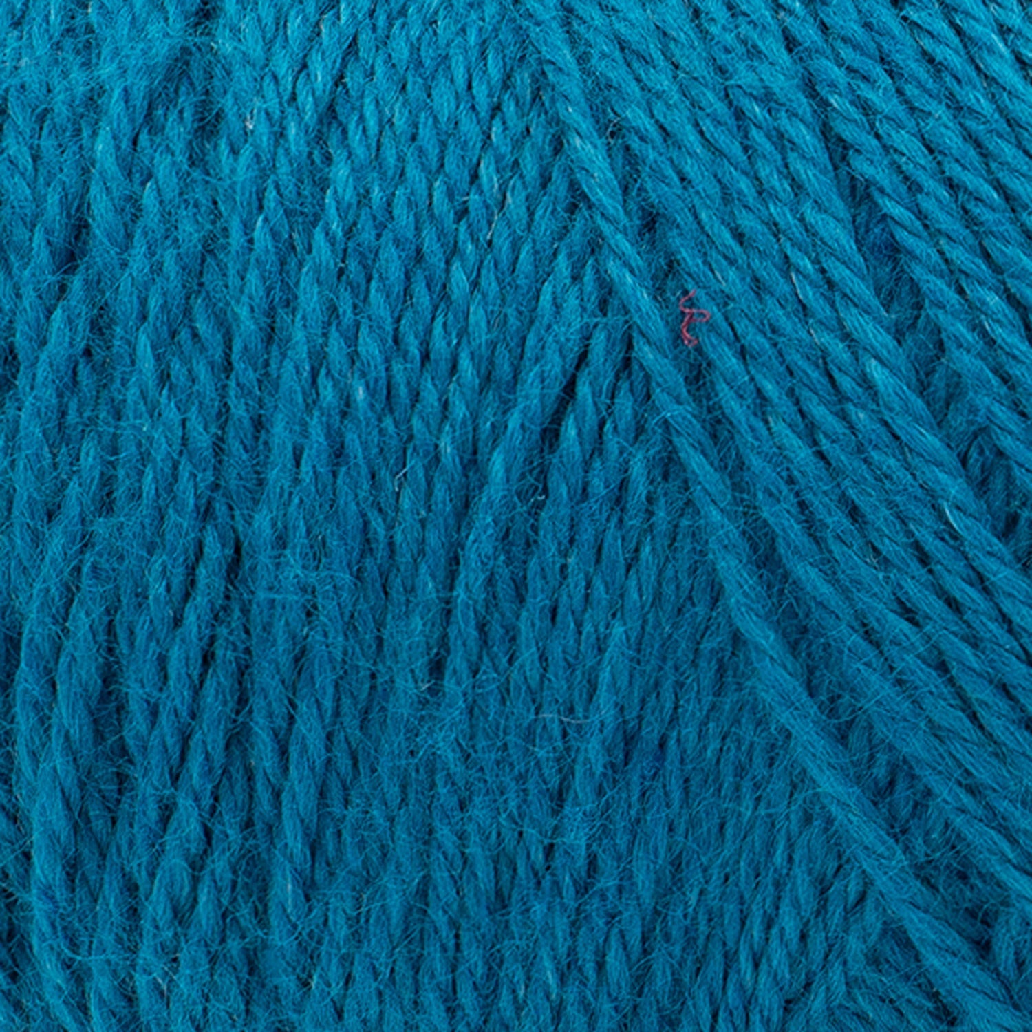 swatch__Fjord