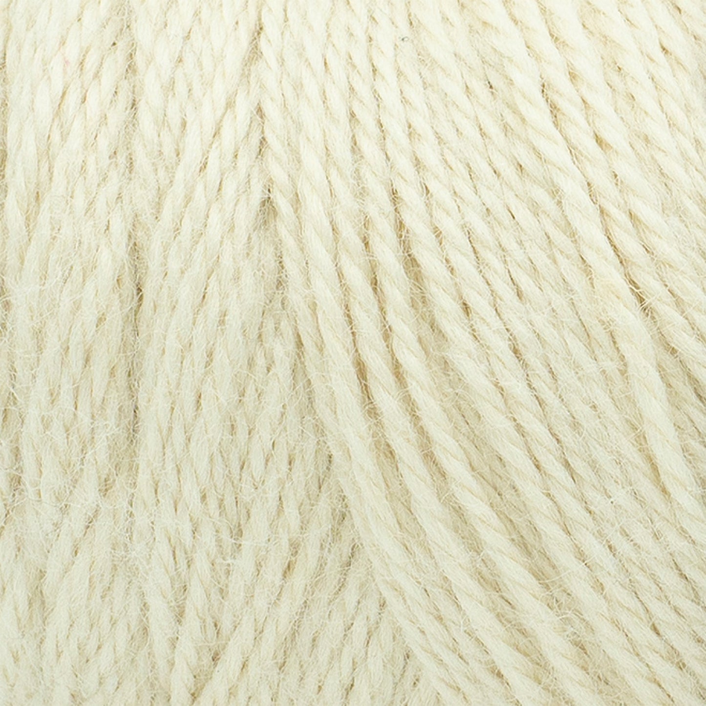 swatch__Whipped Cream