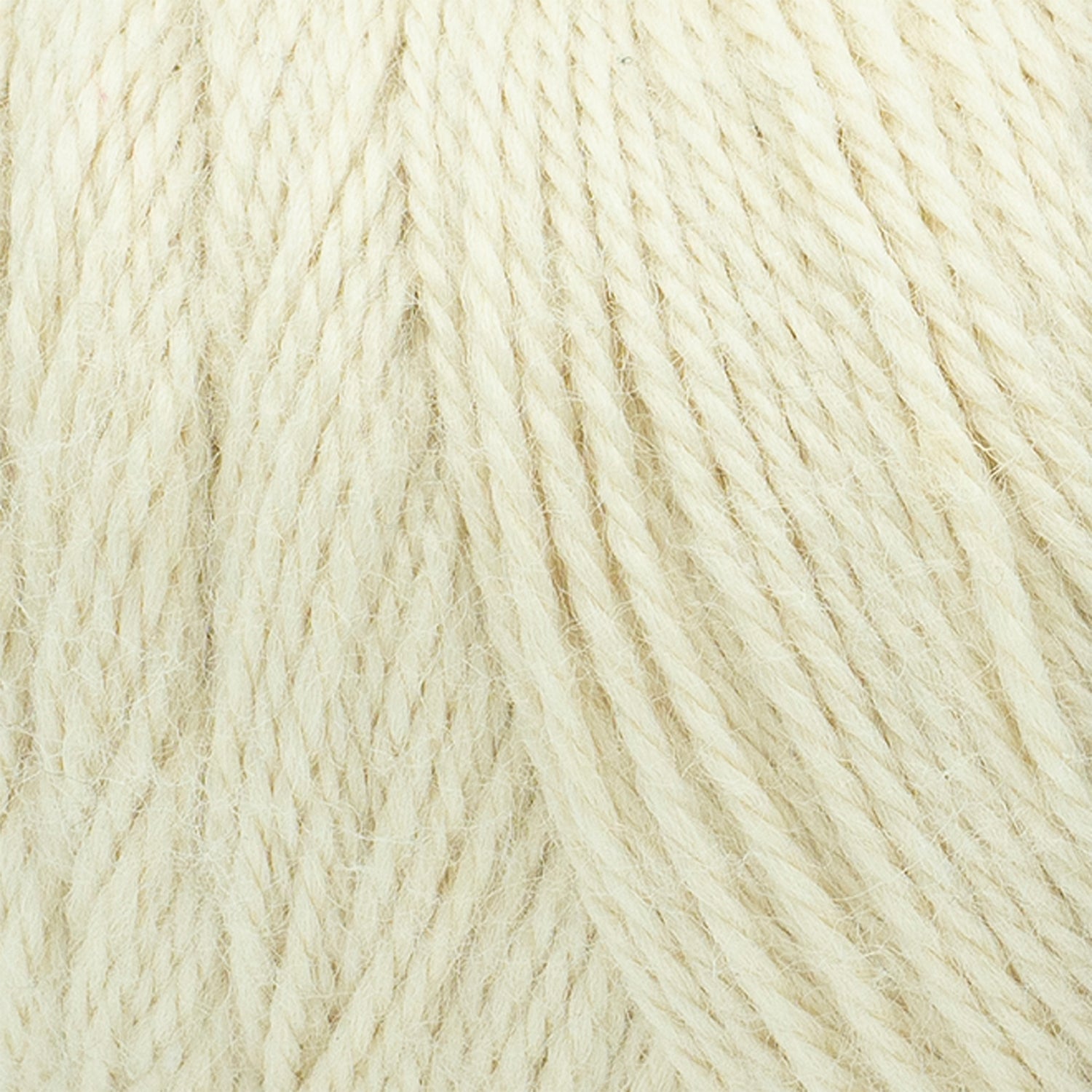 swatch__Whipped Cream