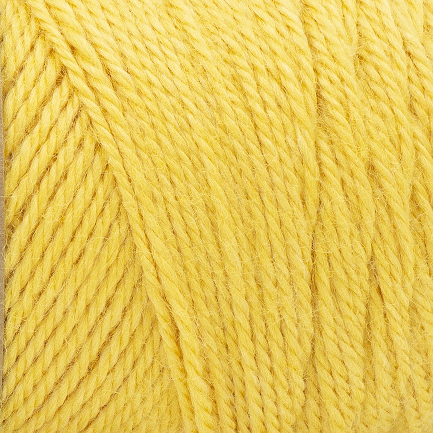 swatch__Sunshine