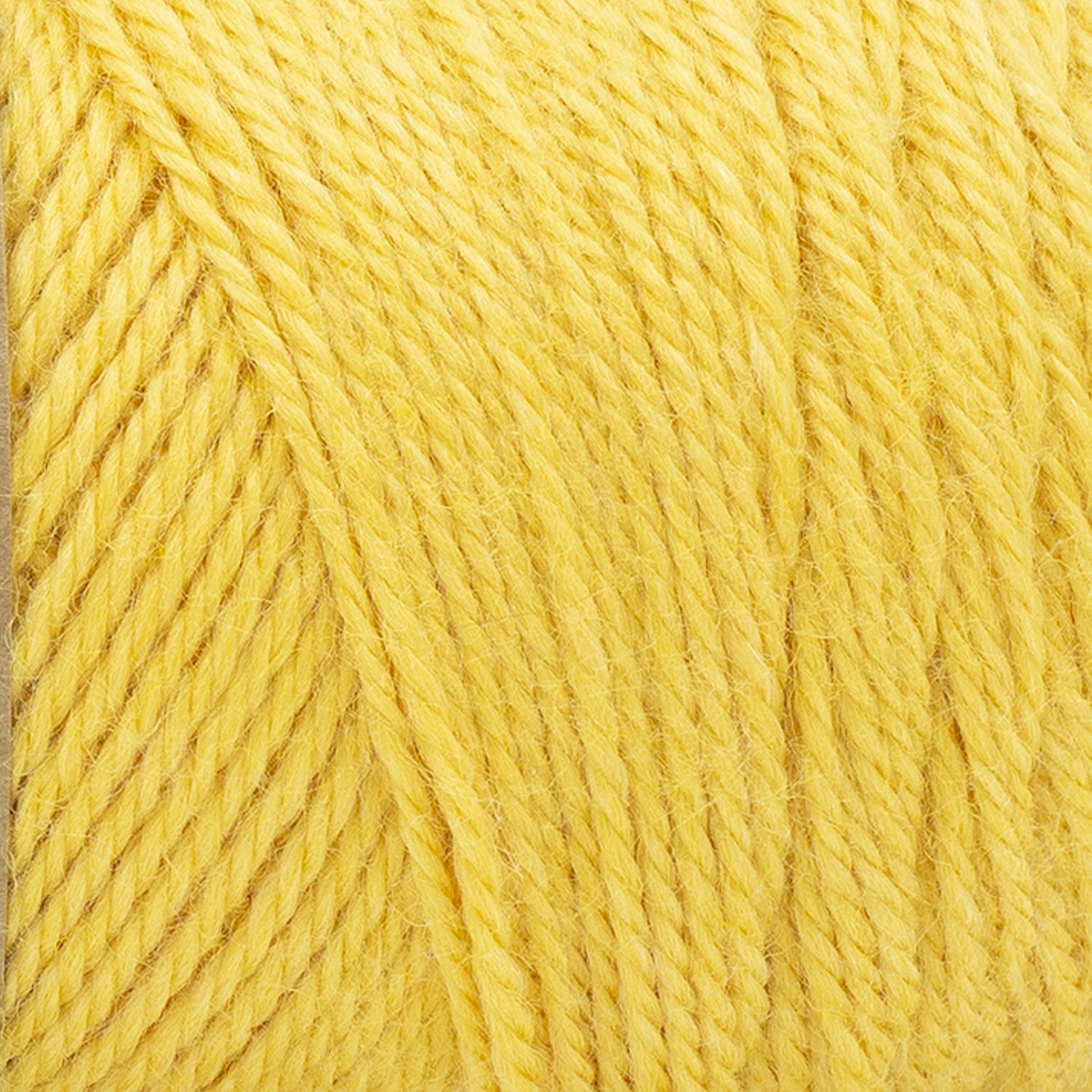 swatch__Sunshine