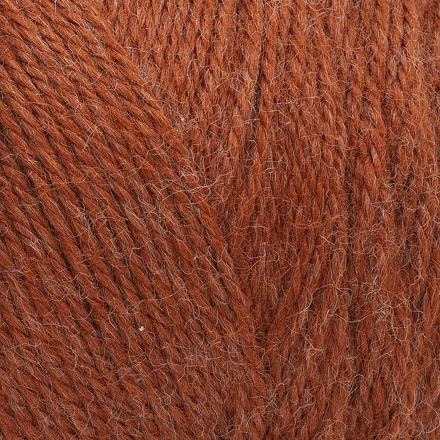 swatch__Amber
