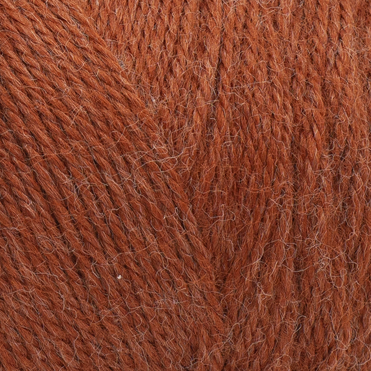 swatch__Amber