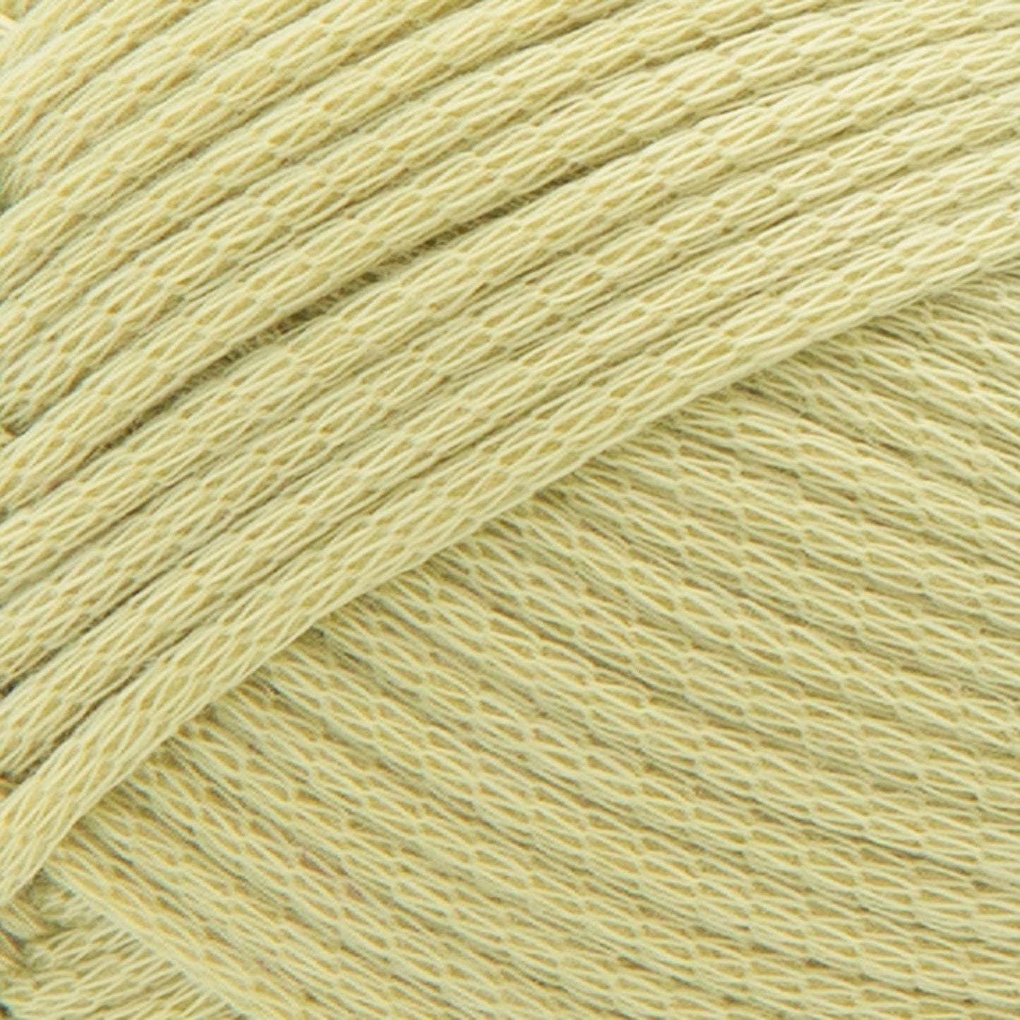 swatch__Lichen