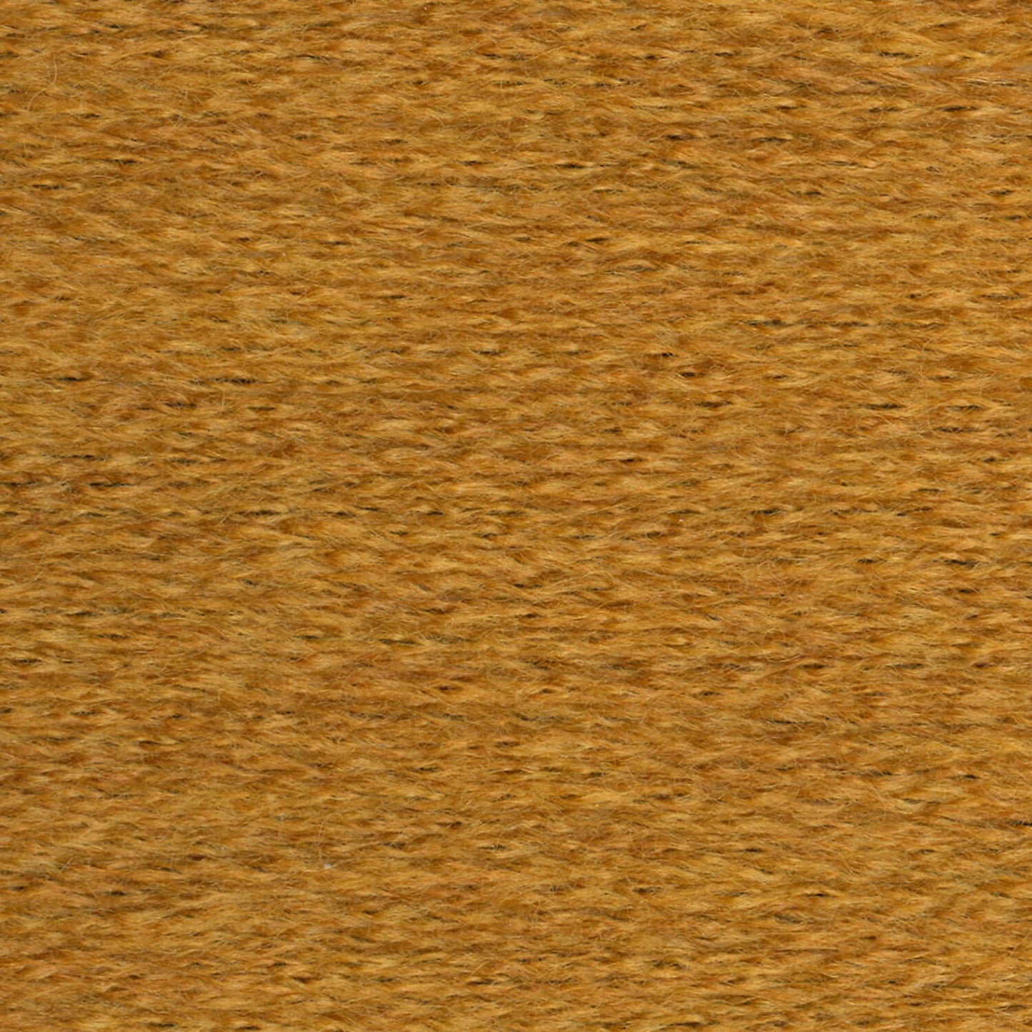 swatch__Mustard