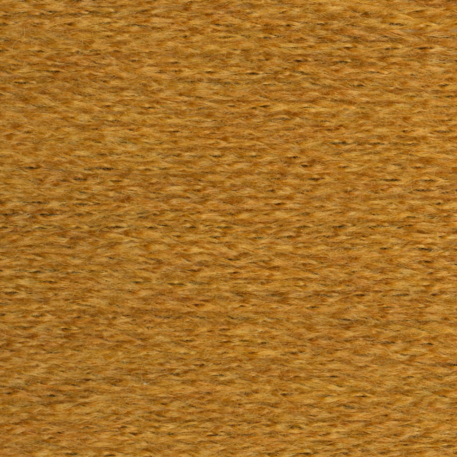 swatch__Mustard