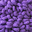 Royal Purple
