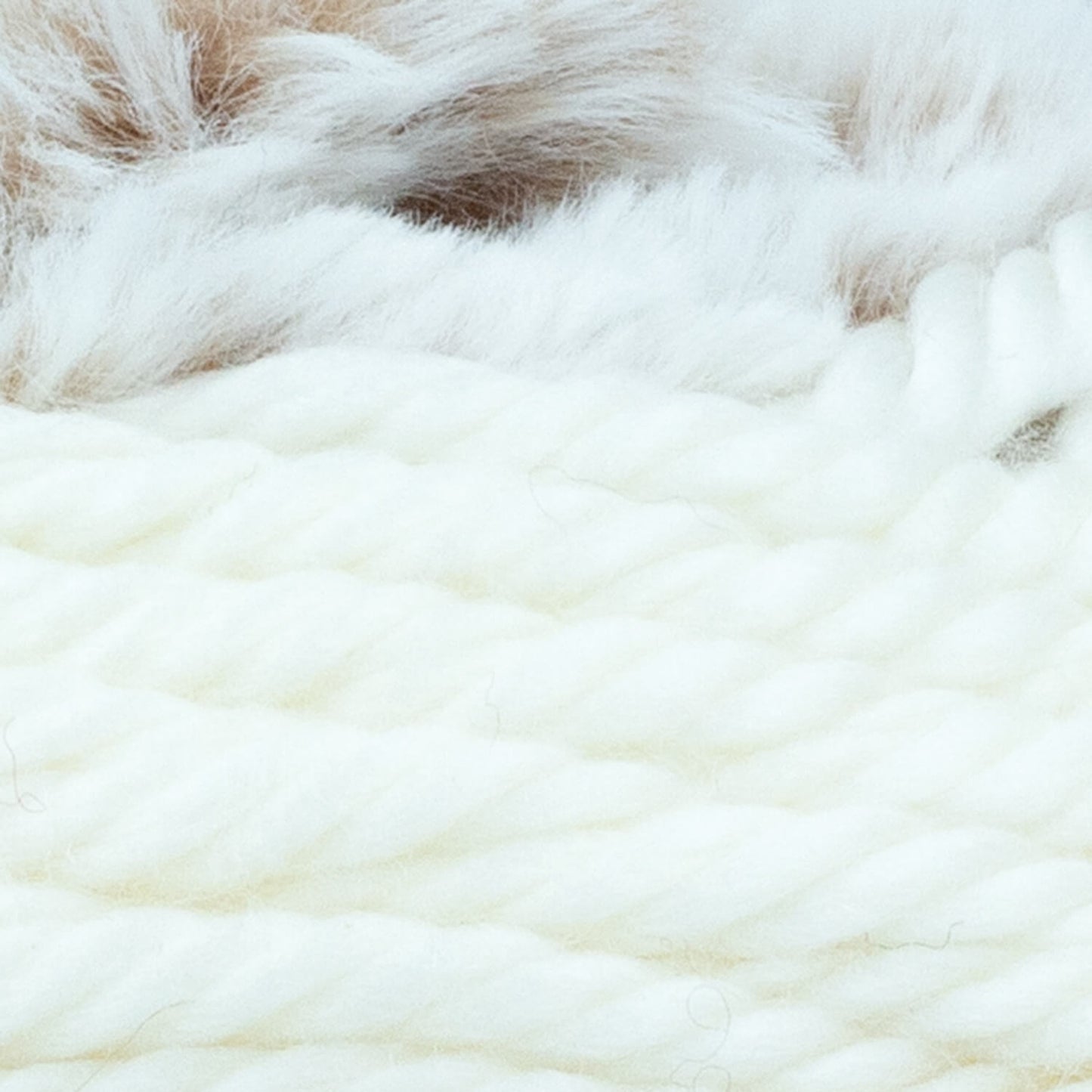 swatch__Cream/Chow Chow