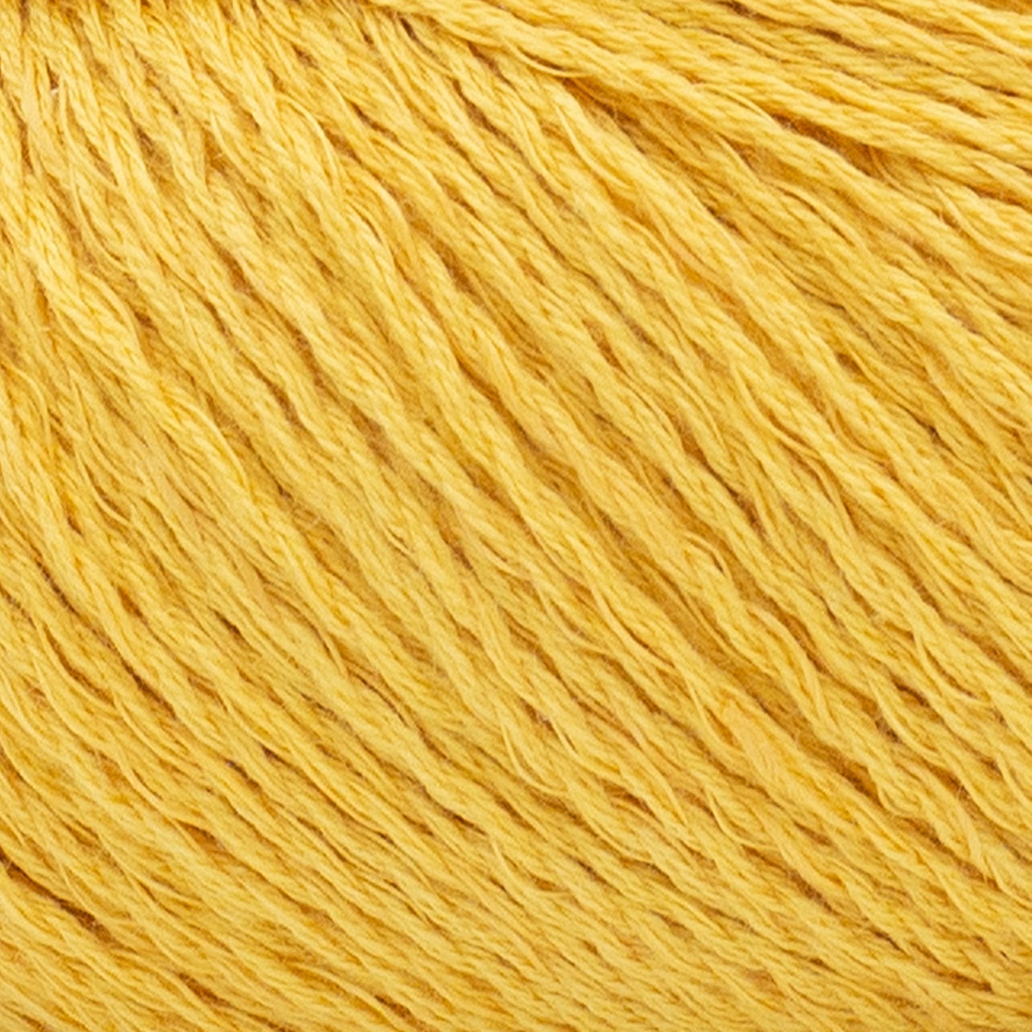 swatch__Sunflower