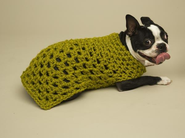 Granny Square Dog Sweater Pattern (Crochet)