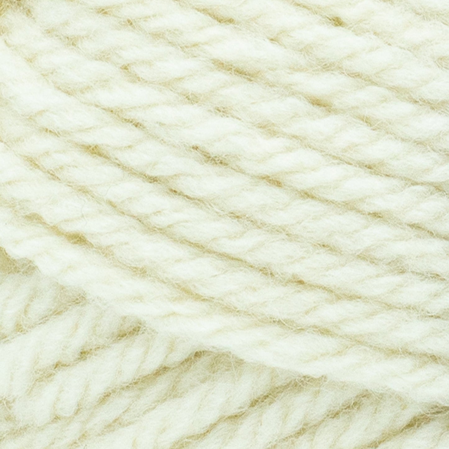 swatch__Salt