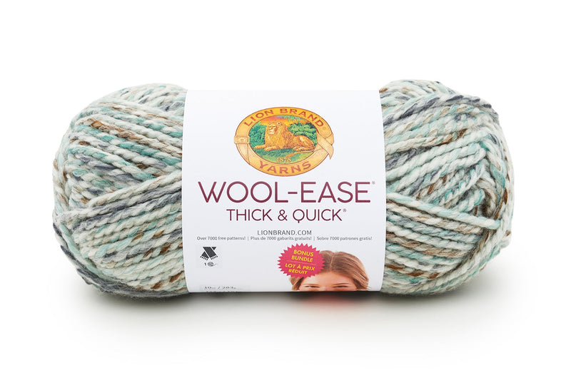 Wool-Ease® Thick & Quick® Bonus Bundle® Yarn - Discontinued