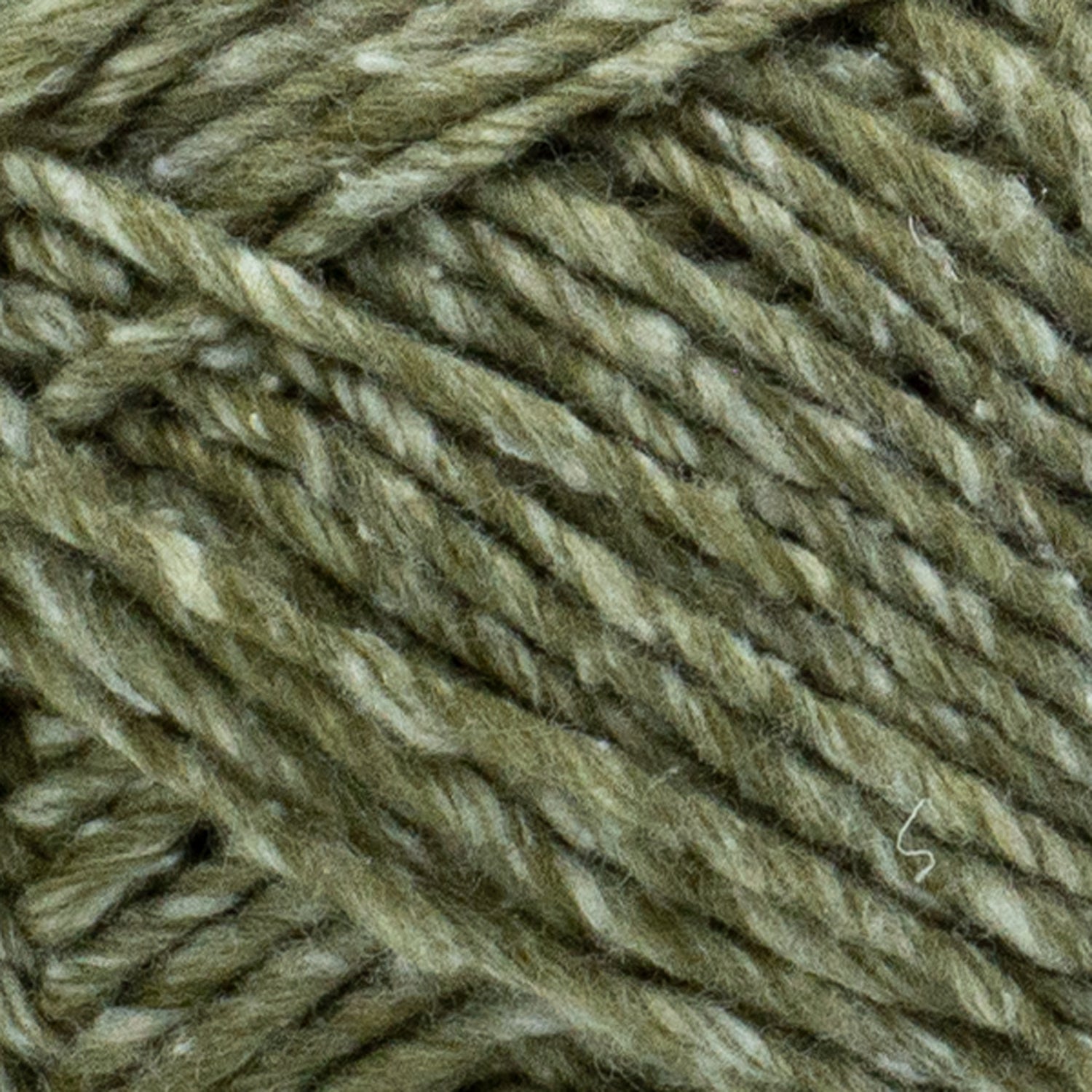 swatch__Olive