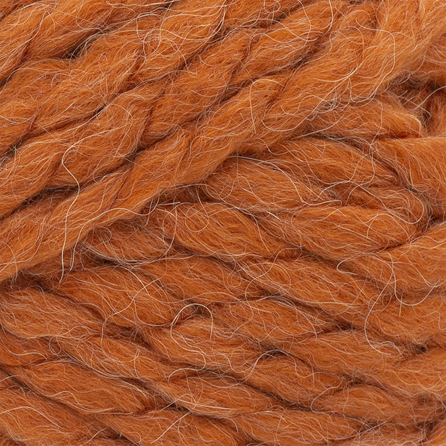 swatch__Pumpkin