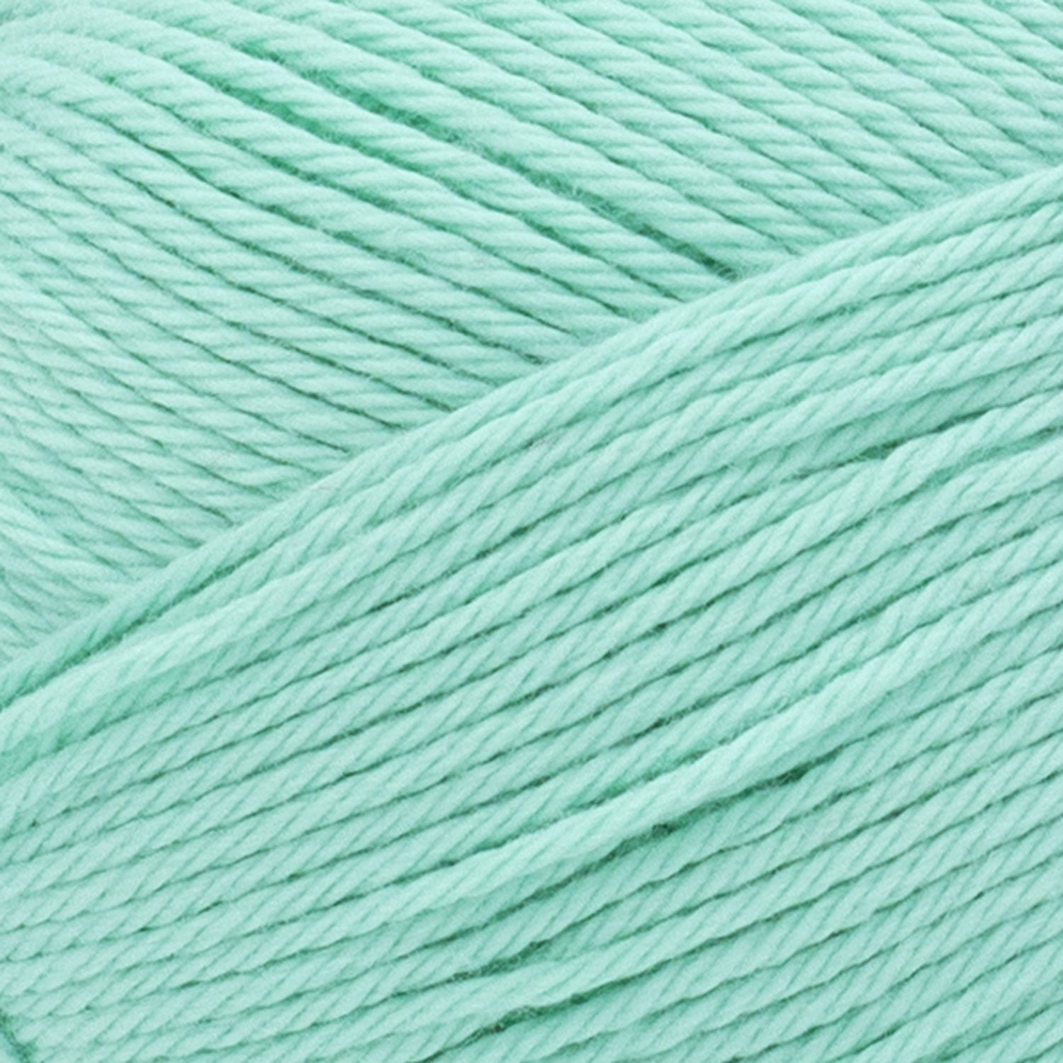 swatch__Fresh Mint