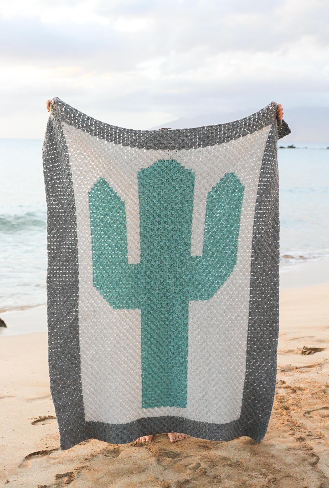 Crochet Kit - Cactus Blanket
