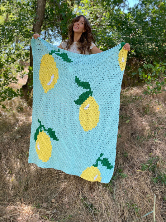 Crochet Kit - Squeeze The Day Throw