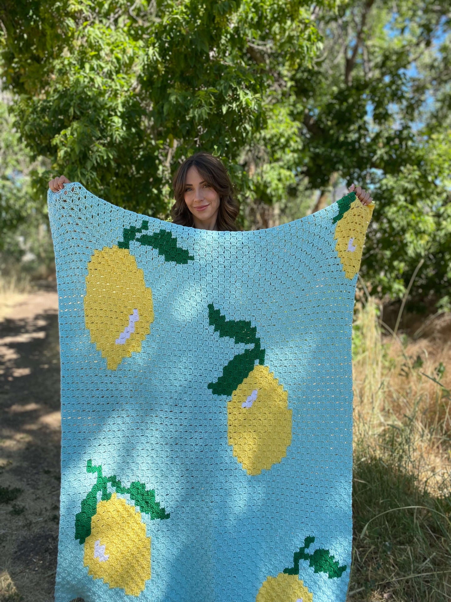 Crochet Kit - Squeeze The Day Throw