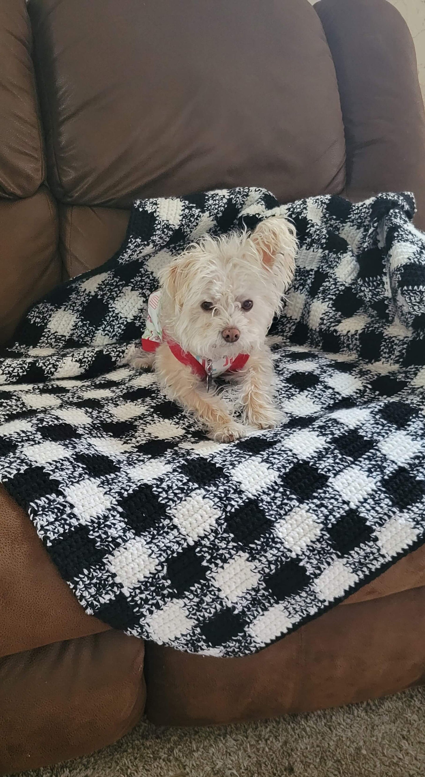 Crochet Kit - Gingham Crochet Throw