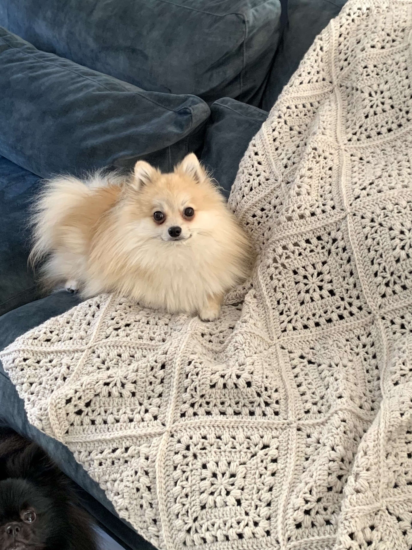Crochet Kit - Tulip Square Throw