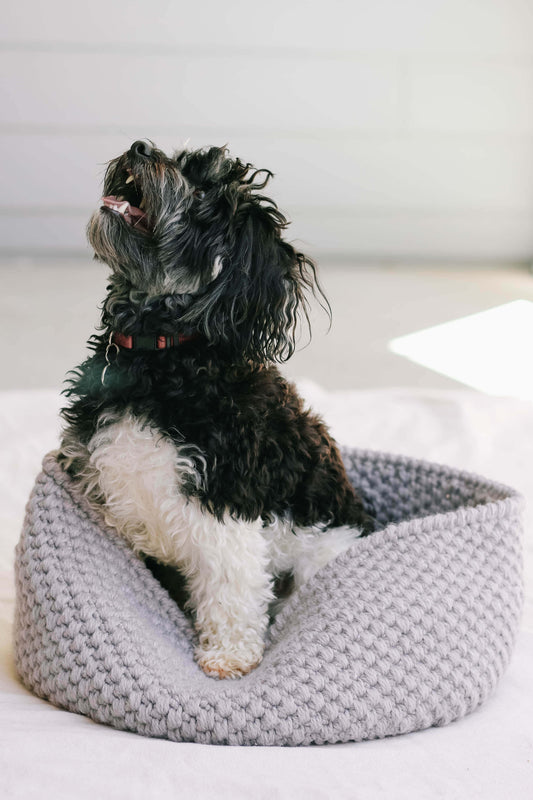 Crochet Kit - Harbor Pet Bed