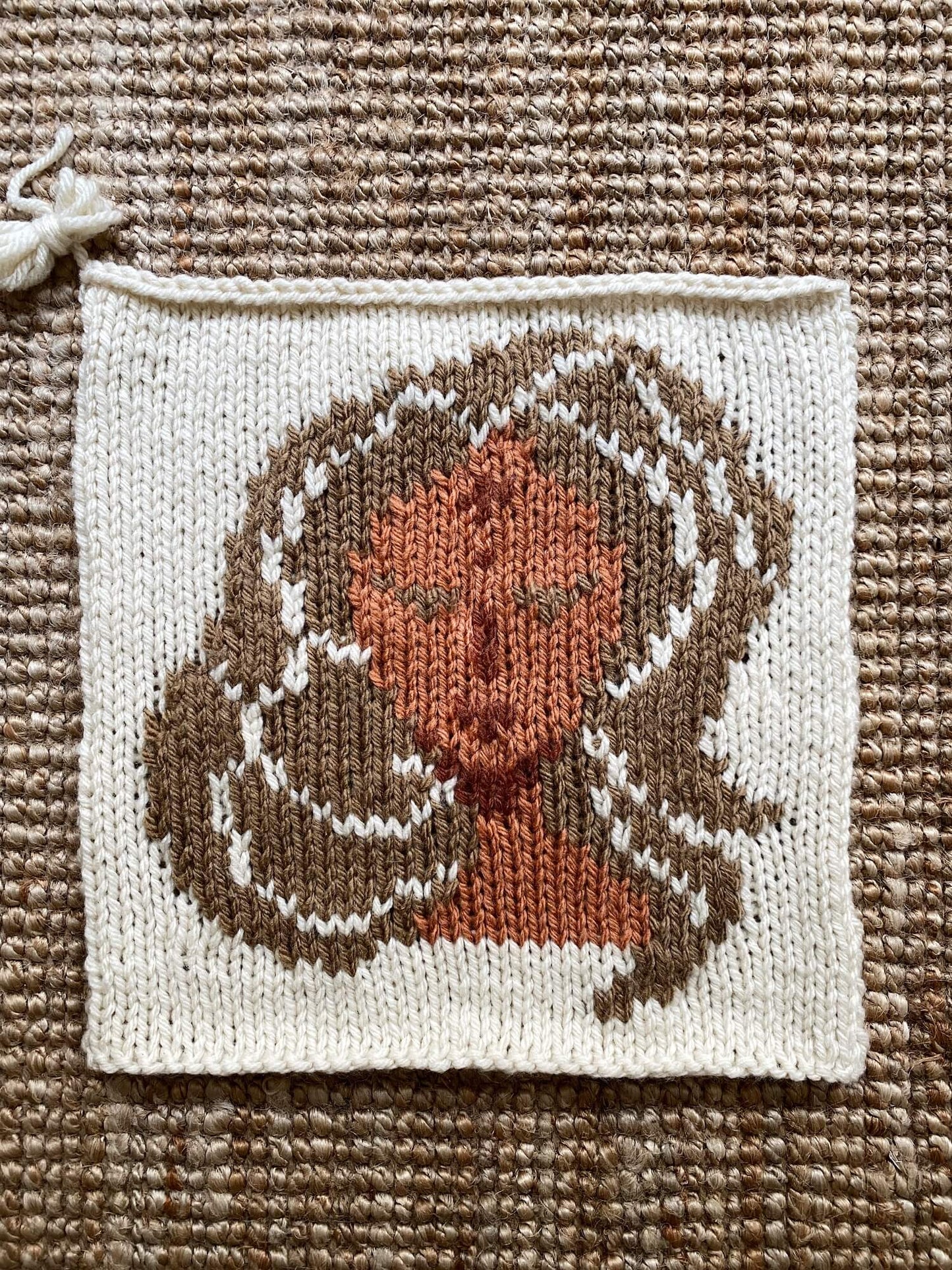 Knit Kit - Zodiac Icons Blanket KAL