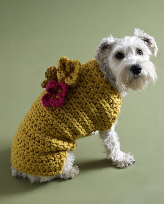 Flower Garden Dog Sweater Pattern (Crochet)