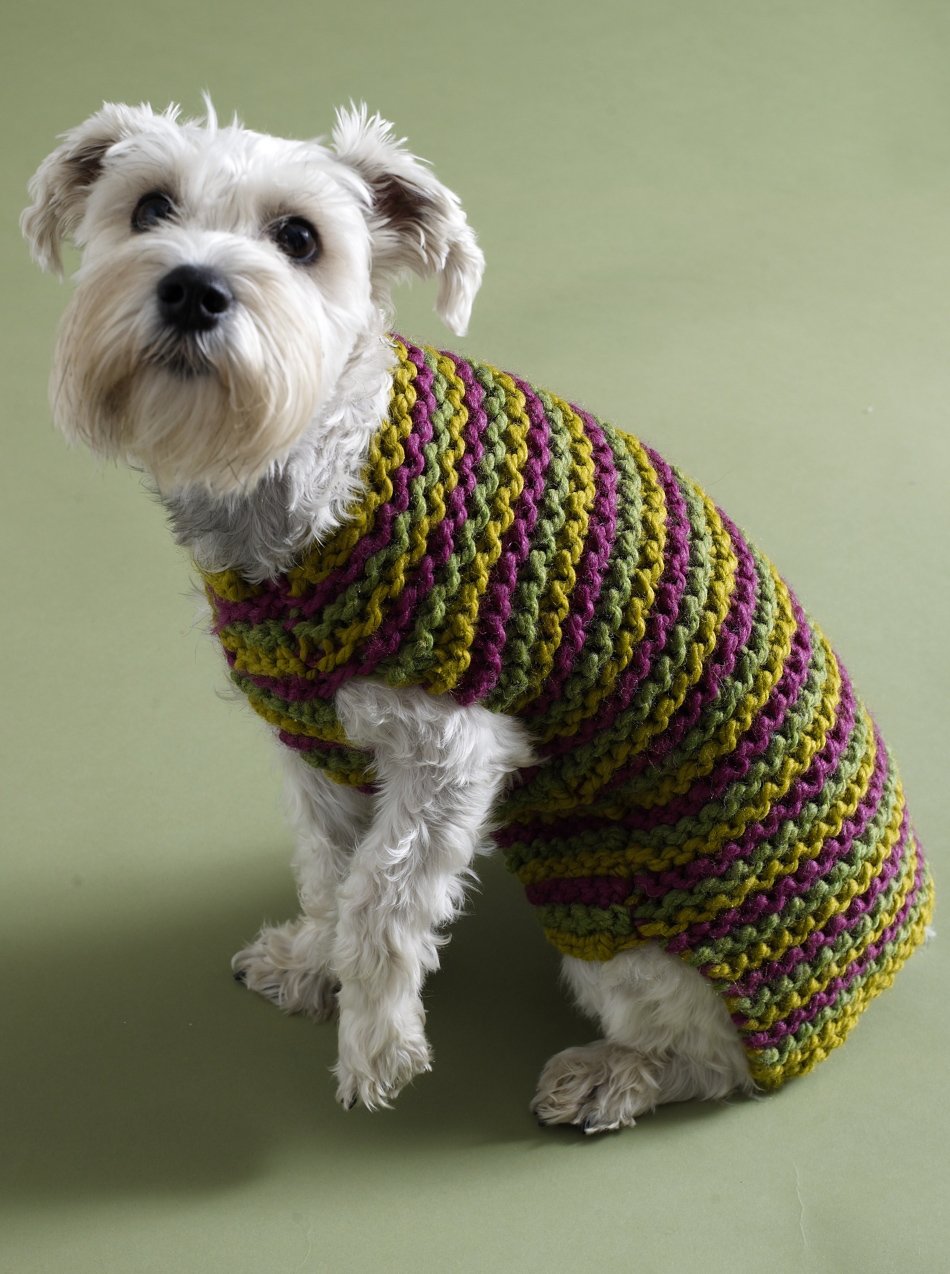 City Stripes Dog Sweater Pattern (Knit)