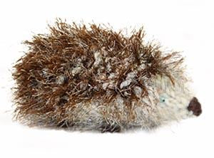 William the Hedgehog Pattern (Knit)