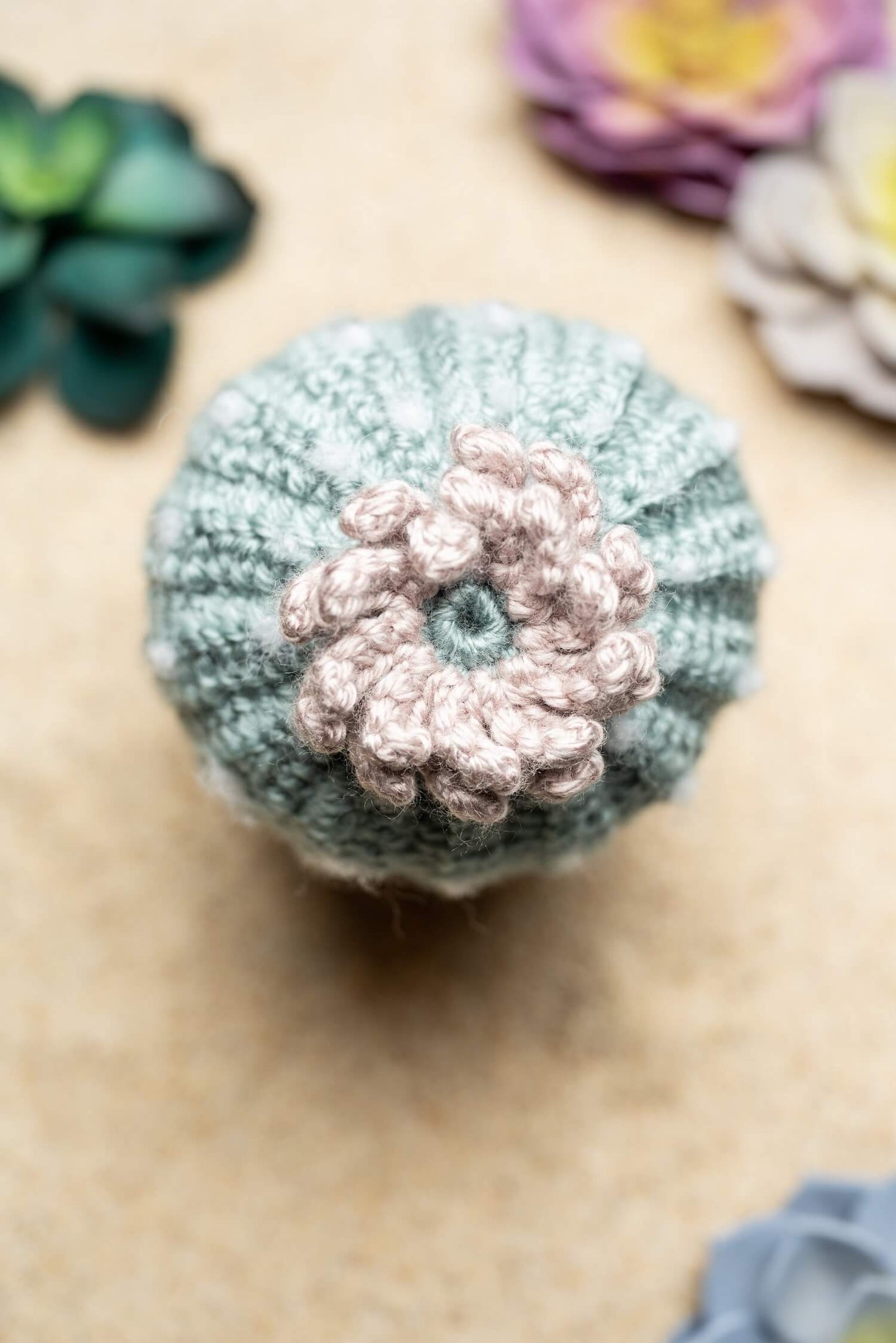 Amigurumi Succulent in Pottery (Crochet)
