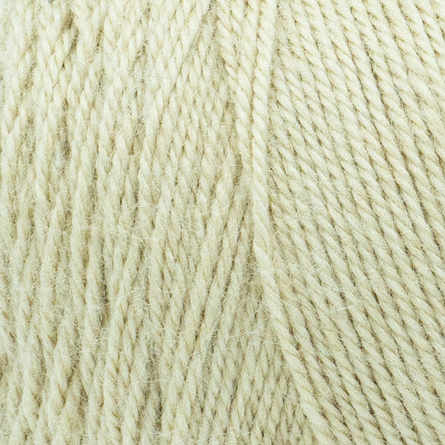 swatch__Parchment