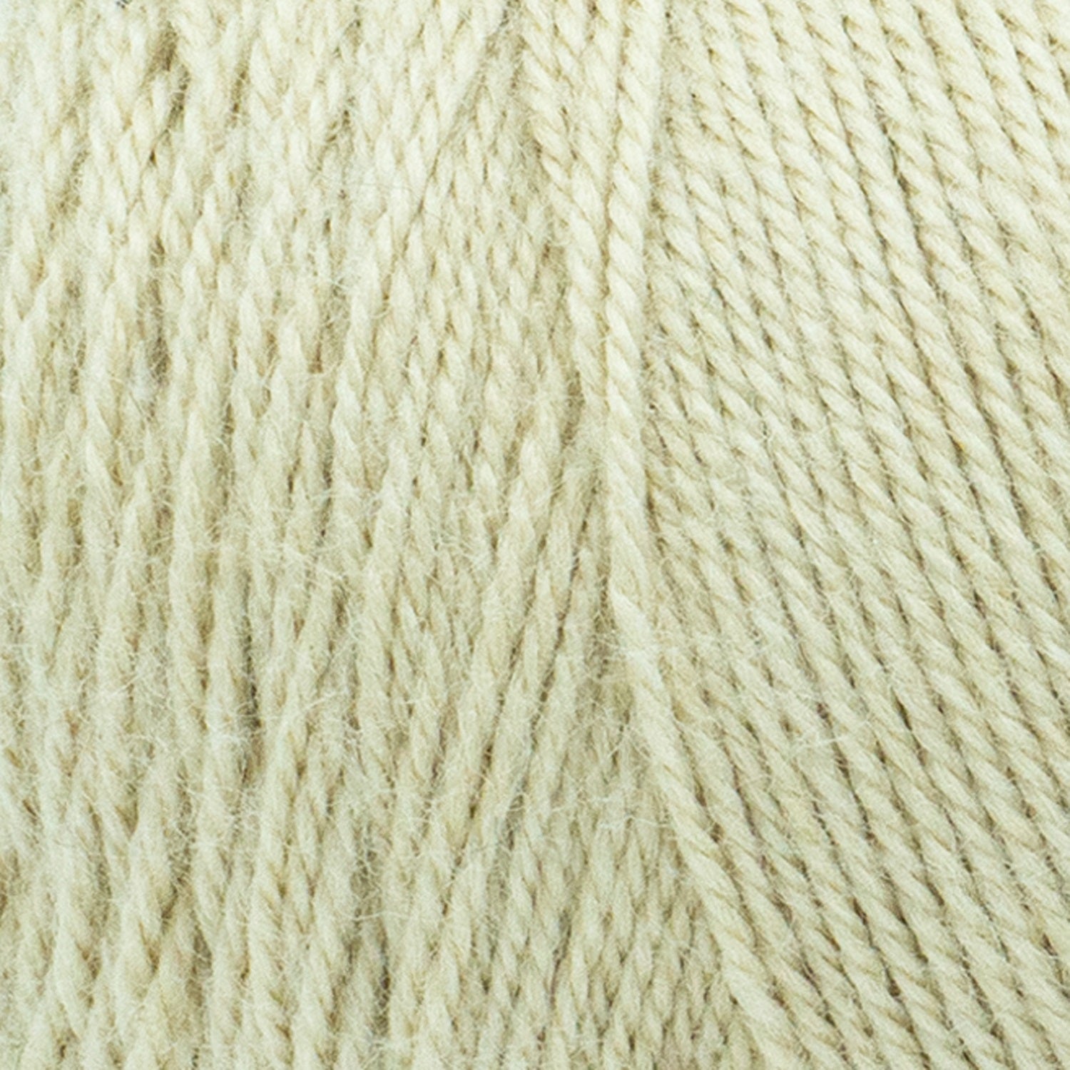 swatch__Parchment