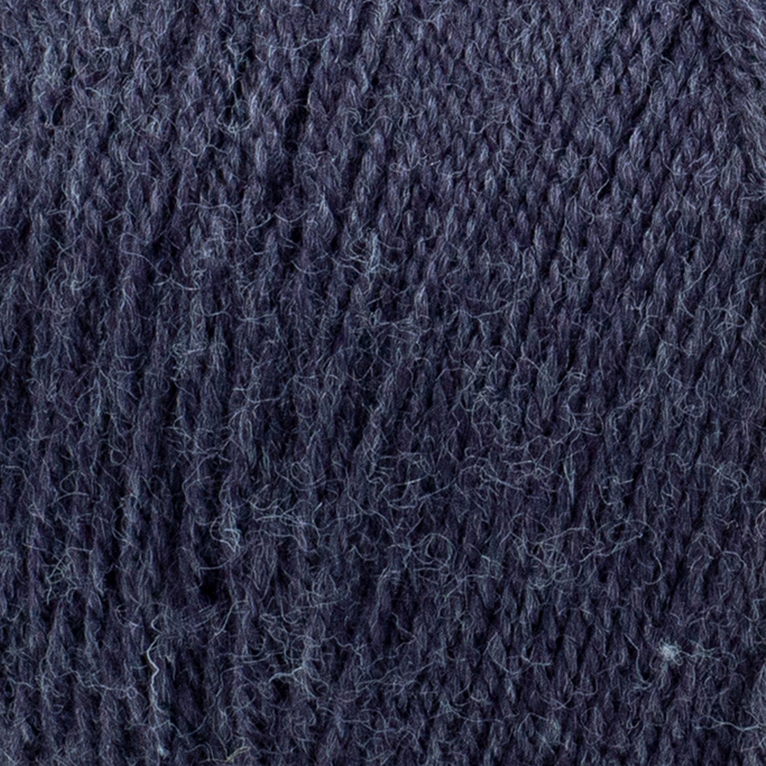 swatch__Raisin