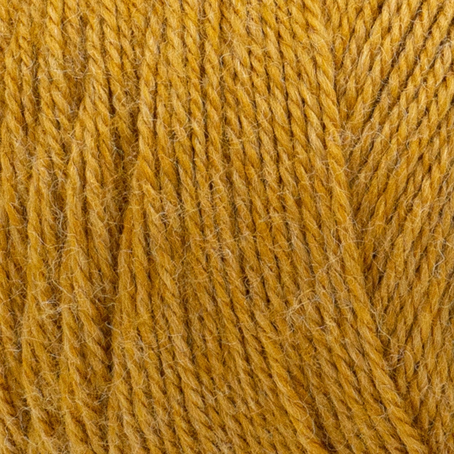 swatch__Cornsilk