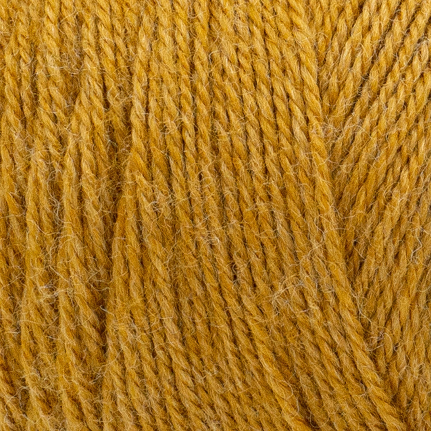 swatch__Cornsilk