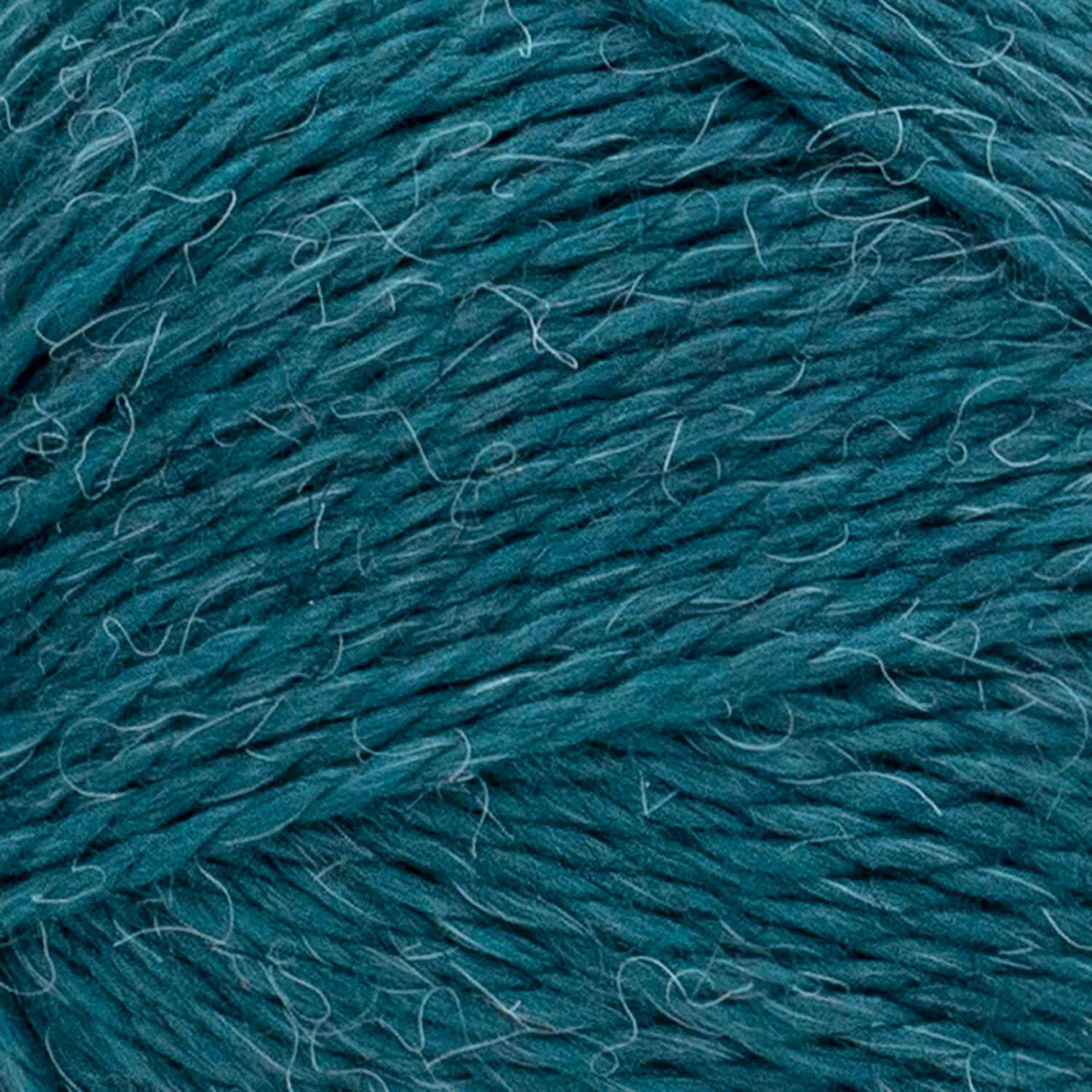 swatch__Teal