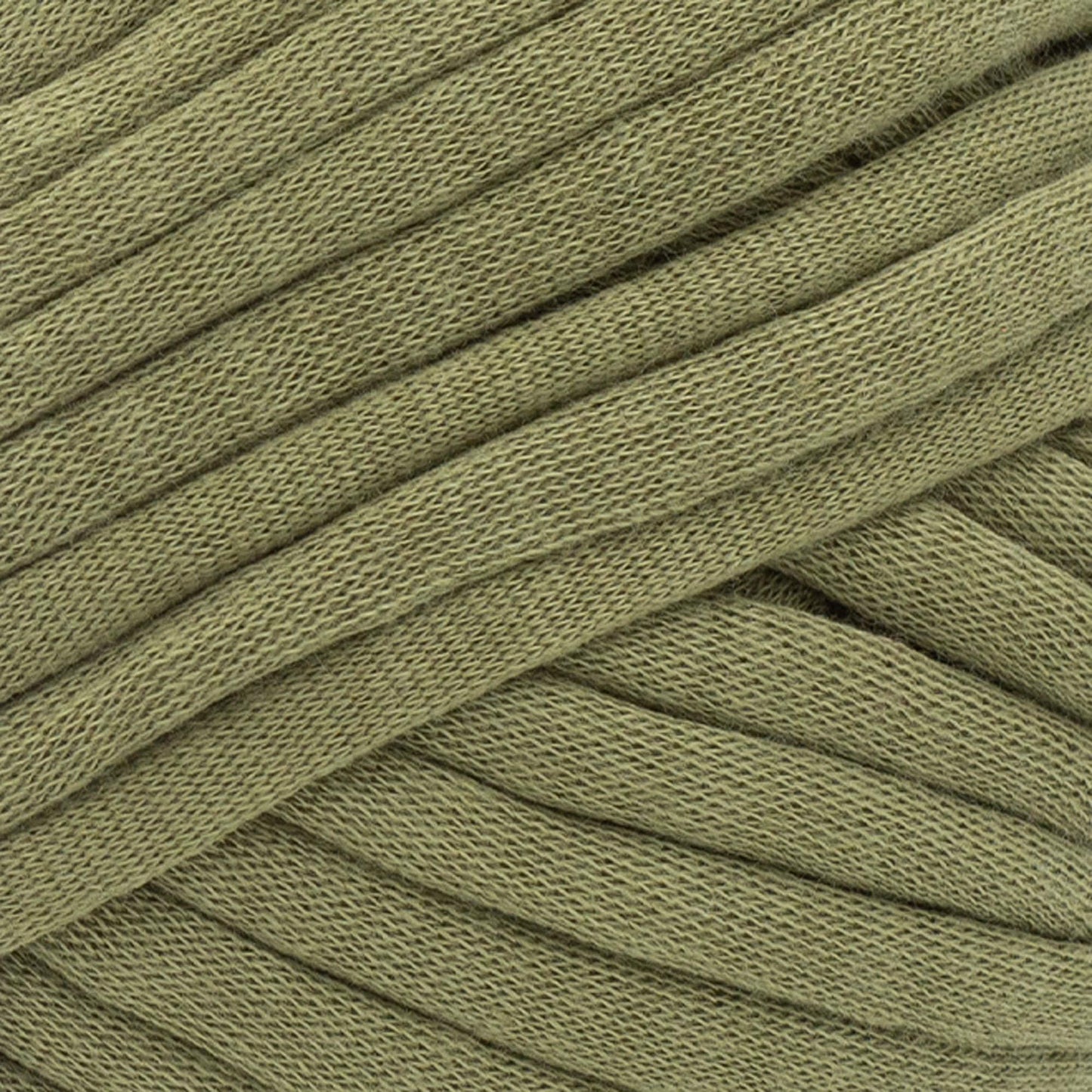 swatch__Olive