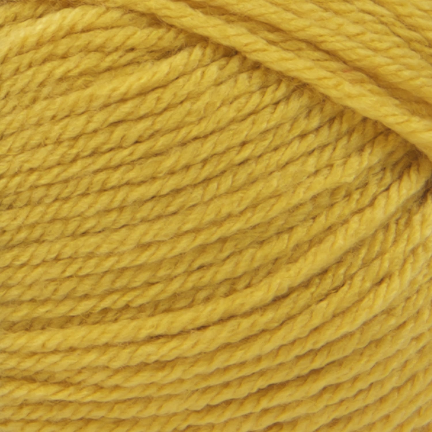 swatch__Mustard